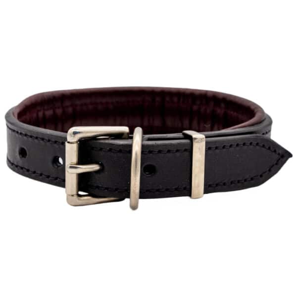 Harness leather dog collar: Black/Oxblood